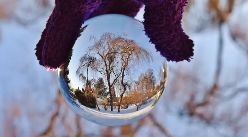 聊城艾利特国际贸易有限公司